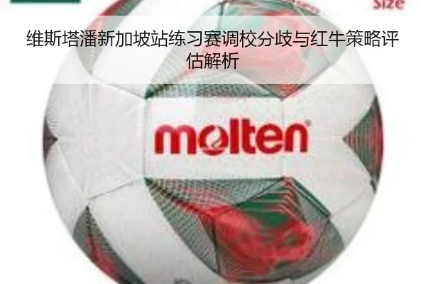 维斯塔潘新加坡站练习赛调校分歧与红牛策略评估解析